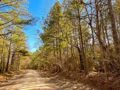 14 Union Springs Rd, Corrigan, TX 75939