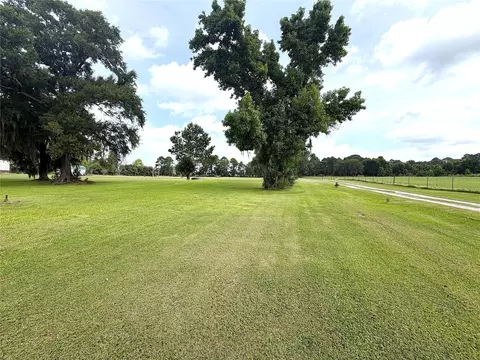 247 S Skains Chapel Rd, Trinity, TX 75862 photo 5