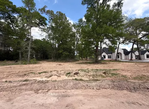 2425 Lonely Creek Cir, Montgomery, TX 77316