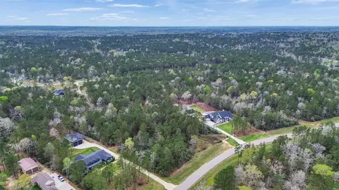 10752 Ruger Rd, Willis, TX 77378 photo 6