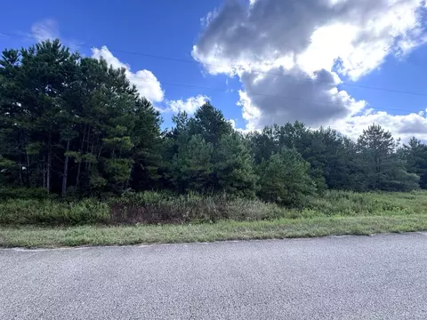 4546 N Duck Creek Rd, Cleveland, TX 77328