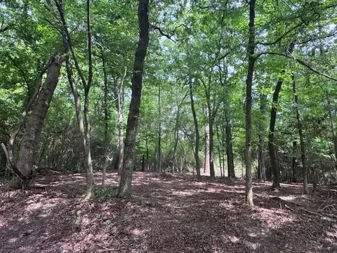 tbd 5 Spreading Oak, Trinity, TX 75862 photo 4