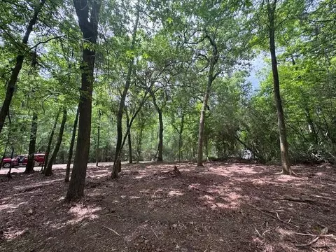 tbd 5 Spreading Oak, Trinity, TX 75862 photo 7