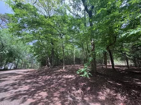 tbd 5 Spreading Oak, Trinity, TX 75862 photo 8