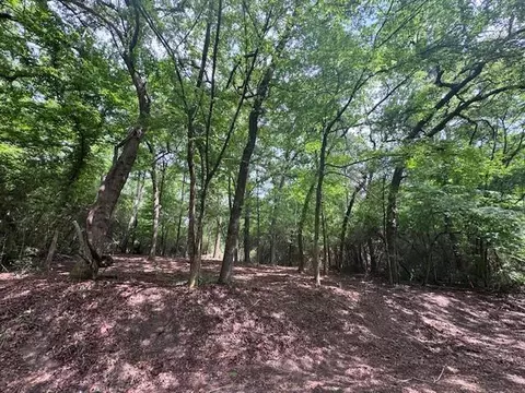 tbd 5 Spreading Oak, Trinity, TX 75862
