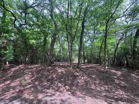 tbd 5 Spreading Oak, Trinity, TX 75862 photo 3