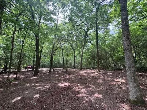 tbd 5 Spreading Oak, Trinity, TX 75862 photo 6