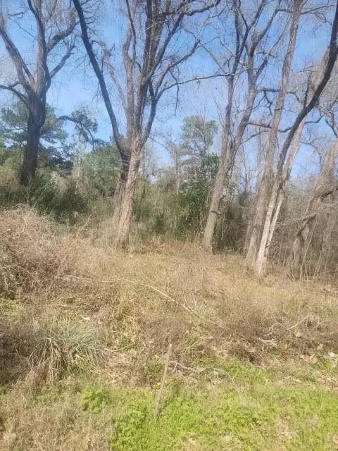 0 Tbd River Street St, Coldspring, TX 77331