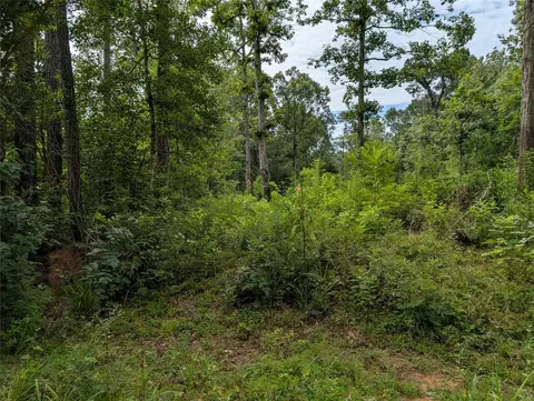 161 Ludies Dr, Livingston, TX 77351
