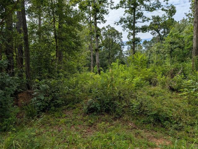 161 Ludies Dr, Livingston, TX 77351