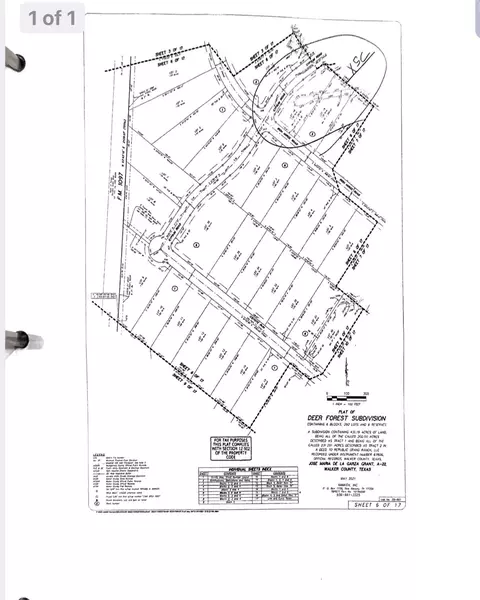 206 Iron Horse Rd, Willis, TX 77378