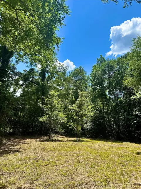 50 G Jock St, Livingston, TX 77351