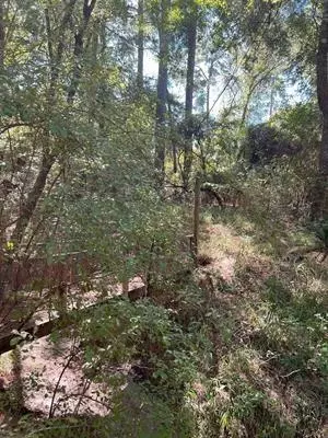 tbd Nueces Dr, Trinity, TX 75862 photo 5