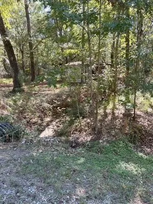 tbd Nueces Dr, Trinity, TX 75862 photo 3