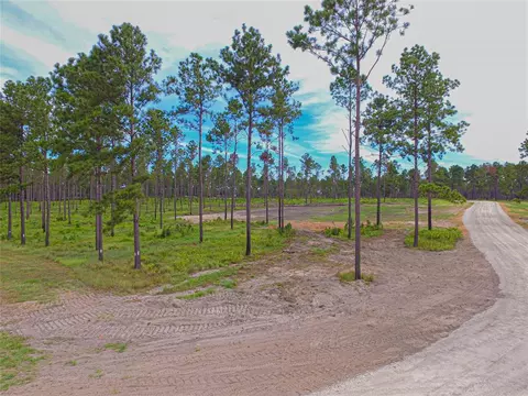 009 Nelson Dr, Livingston, TX 77351