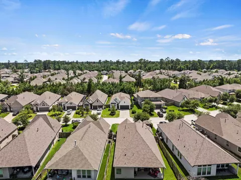 View/Area - 534 Cedar Harbor Ct, Conroe, TX 77304 photo 2 of 3