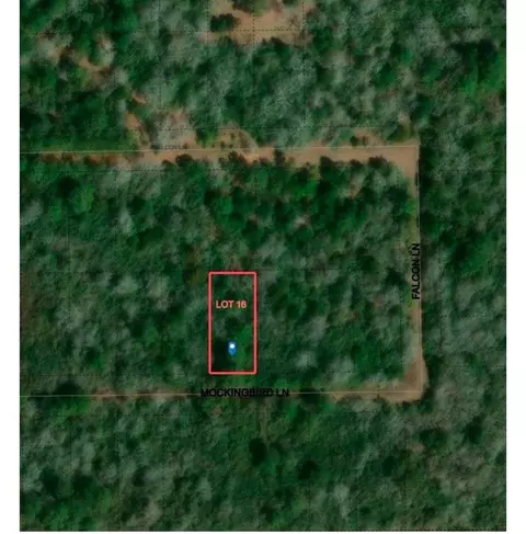 26663 Mockingbird Ln, Hempstead, TX 77445