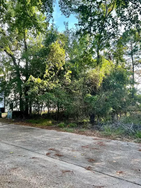 3106 Poe Dr, Montgomery, TX 77356