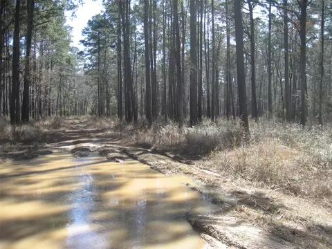 00 Usf 505, Kennard, TX 75847