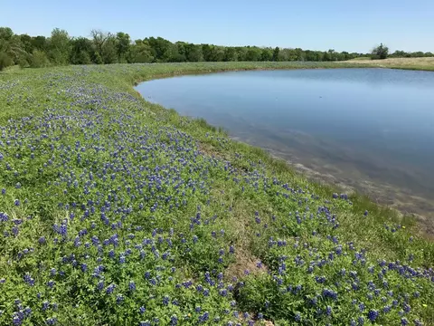 5796 Hurtig Rd, Bleiblerville, TX 78931