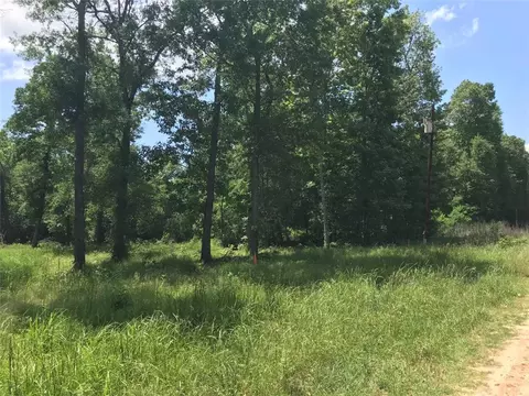 tbd Arrowhead Trl, Livingston, TX 77351
