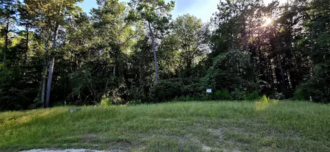 107 Romantic Dreams Ct, Huntsville, TX 77340