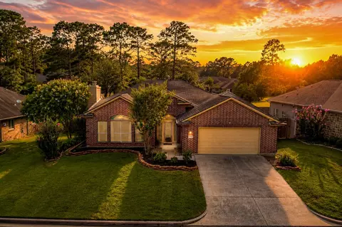 12557 Marina Loop, Willis, TX 77318