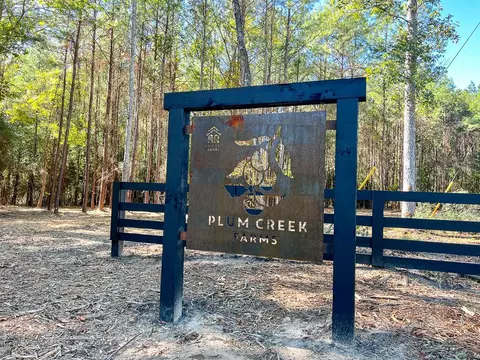 7 Fm 350, Livingston, TX 77351