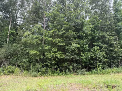 tbd Buffalo Subdivision, Livingston, TX 77351
