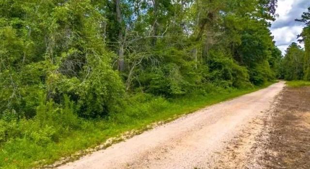 1176 Plum Pudding Rd, Livingston, TX 77351