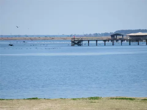 View/Area - 184 Hickory Dr, Onalaska, TX 77360 photo 3 of 4