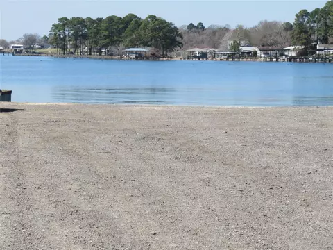 View/Area - 184 Hickory Dr, Onalaska, TX 77360 photo 1 of 4
