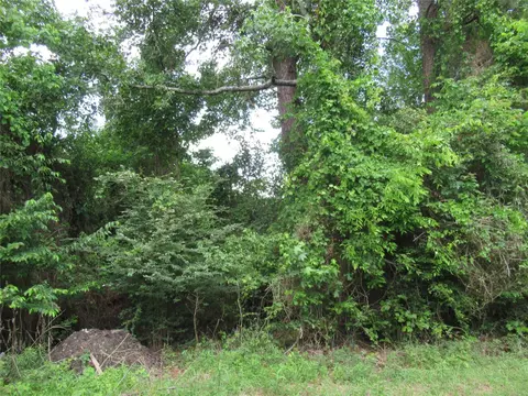 Other - 184 Hickory Dr, Onalaska, TX 77360 photo 4 of 4