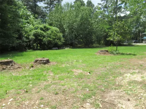 Exterior - 184 Hickory Dr, Onalaska, TX 77360 photo 9 of 15