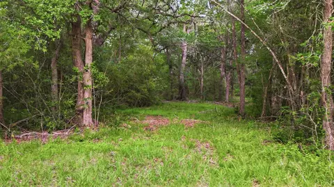 1165 Cr 213 Tract 3, Weimar, TX 78962