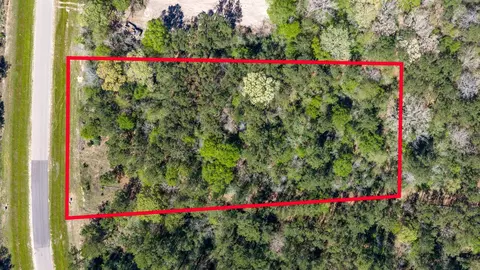 15824 Wood Grove Way, Willis, TX 77378