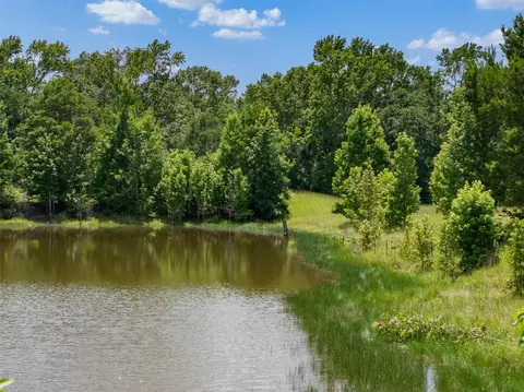 17952 County Road 224, Oakwood, TX 75855