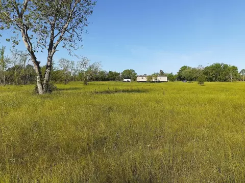 Exterior - 411 Wright Rd, Kendleton, TX 77477 photo 1 of 2