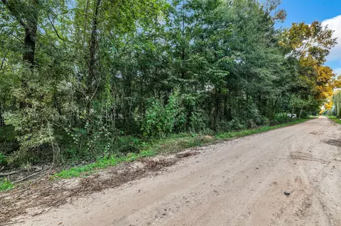 1001 Mudd St, Coldspring, TX 77331 photo 10