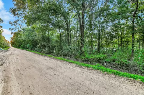 1001 Mudd St, Coldspring, TX 77331 photo 13