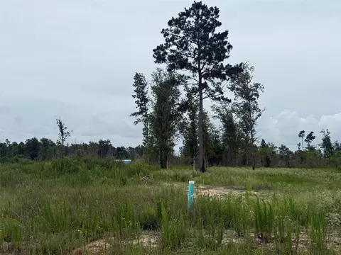 390 Road 5879, Cleveland, TX 77327