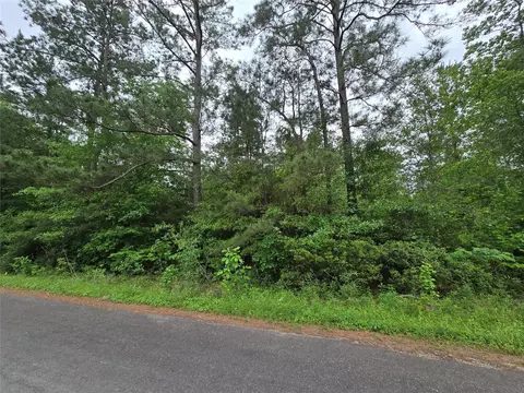 tbd Eastepp Rd, Livingston, TX 77351