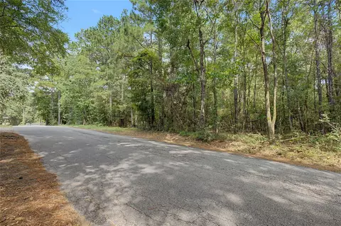 0 Bilnoski Rd, Willis, TX 77378 photo 29