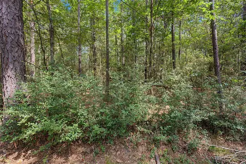 0 Bilnoski Rd, Willis, TX 77378 photo 34