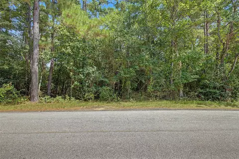 0 Bilnoski Rd, Willis, TX 77378 photo 27