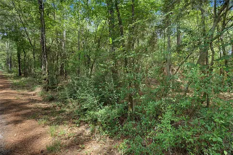 0 Bilnoski Rd, Willis, TX 77378 photo 36