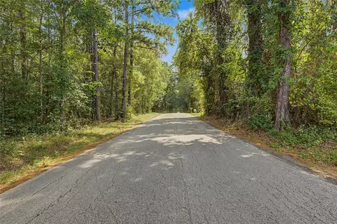 0 Bilnoski Rd, Willis, TX 77378 photo 39