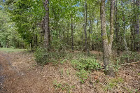 0 Bilnoski Rd, Willis, TX 77378 photo 30