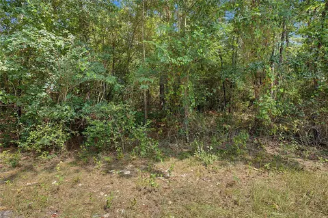 0 Bilnoski Rd, Willis, TX 77378 photo 28