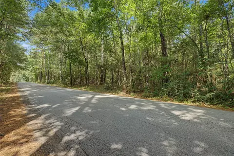 0 Bilnoski Rd, Willis, TX 77378 photo 35